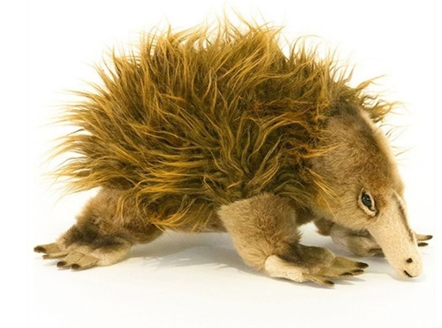 Wild Animals Bocchetta Plush Toys | Bocchetta - Harry Echidna Plush Toy 24Cm