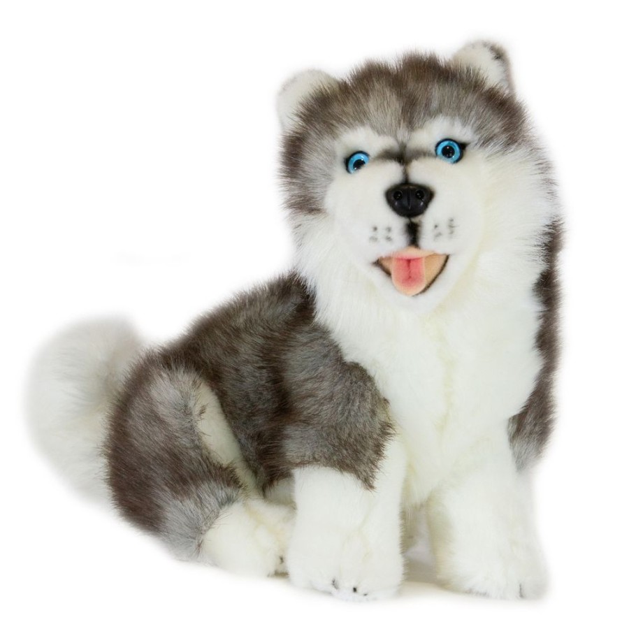 Dogs Bocchetta Plush Toys | Bocchetta - Button Siberian Husky Sitting Plush Toy 30Cm