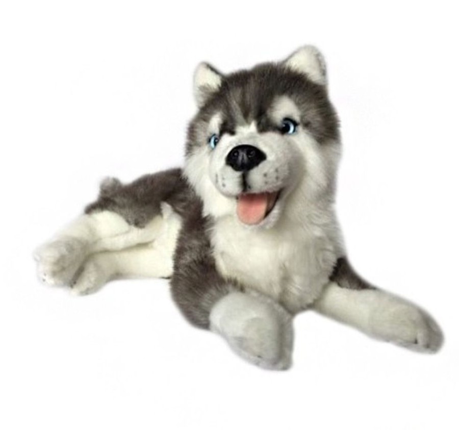 Dogs Bocchetta Plush Toys | Bocchetta - Madison Siberian Husky Plush Toy 44Cm