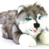 Dogs Bocchetta Plush Toys | Bocchetta - Marbles Siberian Husky Plush Toy 30Cm