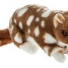 Wild Animals Bocchetta Plush Toys | Bocchetta - Spotty Quoll Plush Toy 22Cm