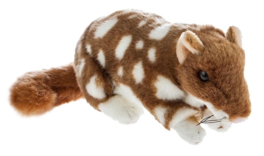 Wild Animals Bocchetta Plush Toys | Bocchetta - Spotty Quoll Plush Toy 22Cm