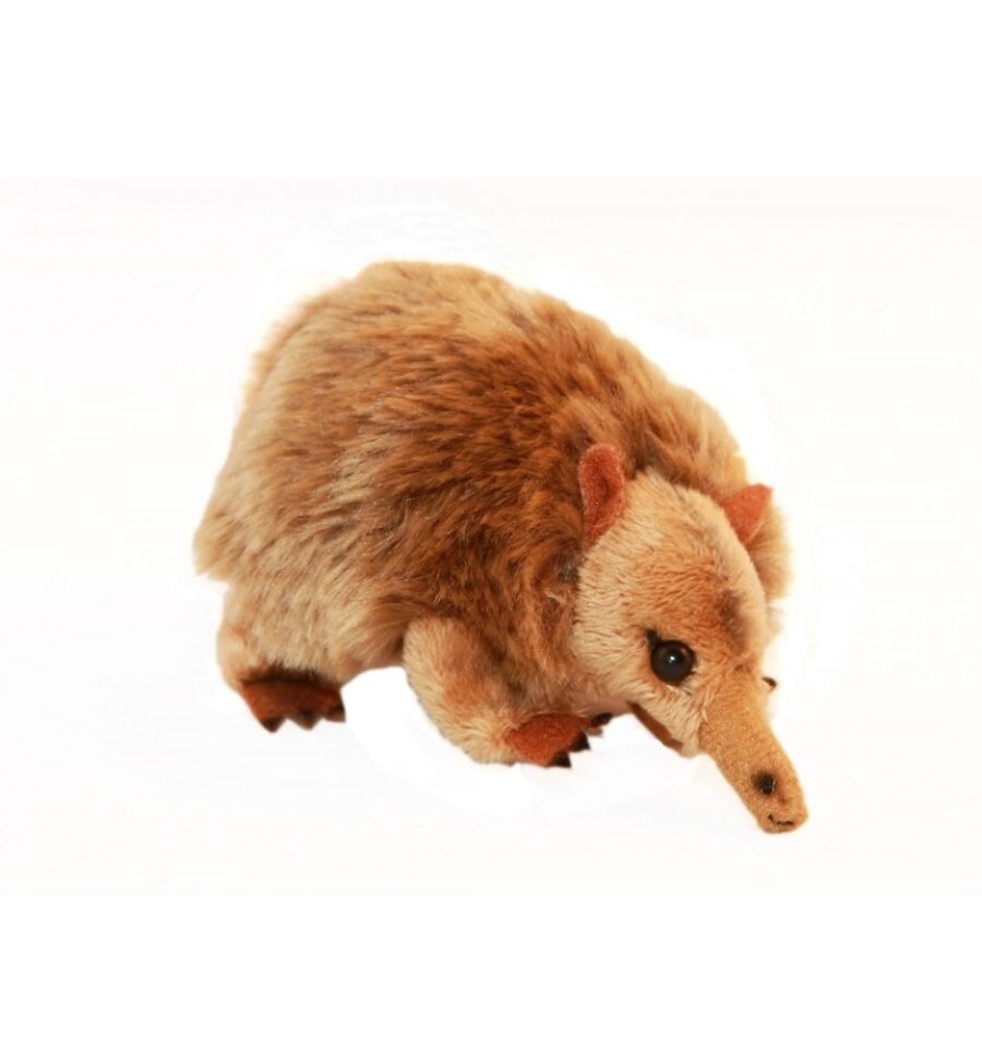 Wild Animals Bocchetta Plush Toys | Bocchetta - Mini Echidna Plush Toy 11Cm