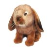 Wild Animals Bocchetta Plush Toys | Bocchetta - Cinnamon Rabbit Plush Toy 25Cm