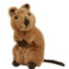 Wild Animals Bocchetta Plush Toys | Bocchetta - Edward Quokka Plush Toy 21Cm