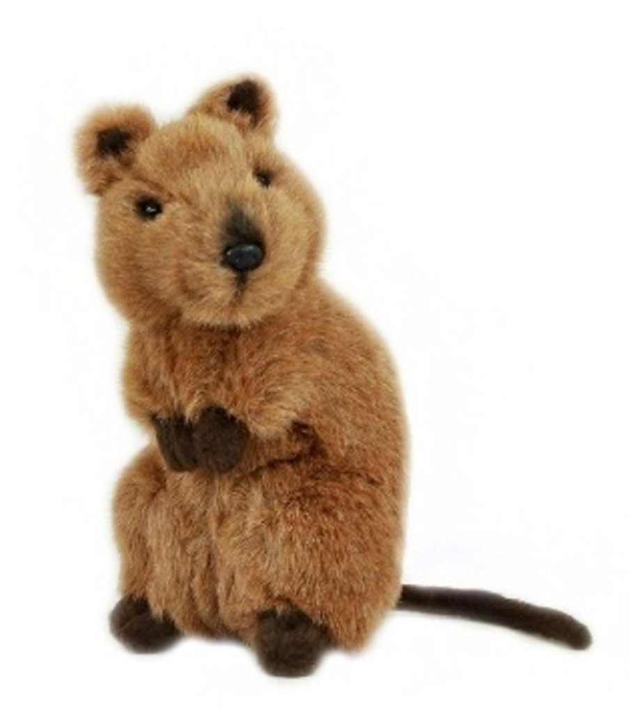 Wild Animals Bocchetta Plush Toys | Bocchetta - Edward Quokka Plush Toy 21Cm