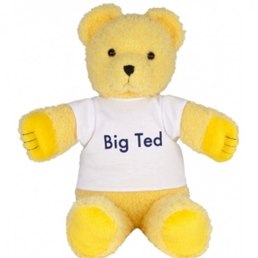 Teddy Bears Play School | Play School - Big Ted Plush Toy 28Cm