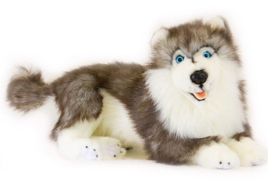 Dogs Bocchetta Plush Toys | Bocchetta - Skye Husky Plush Toy 40Cm