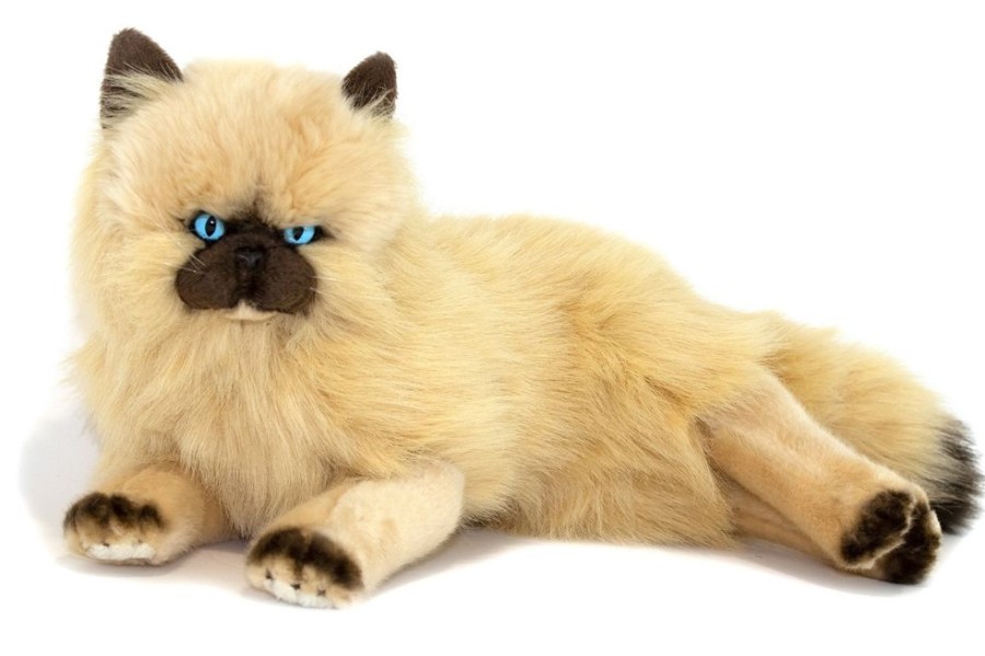 Cats Bocchetta Plush Toys | Bocchetta - Violet Himalayan Cat Lying Plush Toy 38Cm