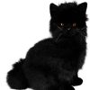 Cats Bocchetta Plush Toys | Bocchetta - Crystal Black Cat Plush Toy 27Cm