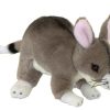 Wild Animals Bocchetta Plush Toys | Bocchetta - Mini Bilby Plush Toy 14Cm