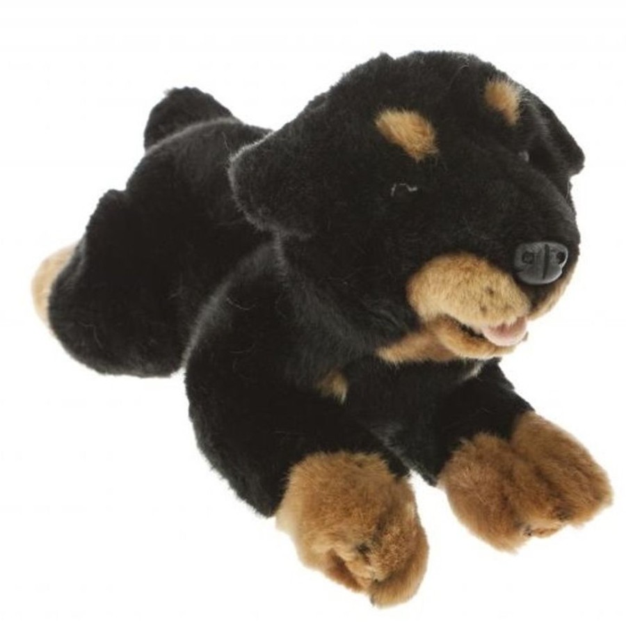 Dogs Bocchetta Plush Toys | Bocchetta - Kujo Rottweiler Puppy Plush Toy 28Cm